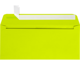 Slimline Window Envelope for Shaker card